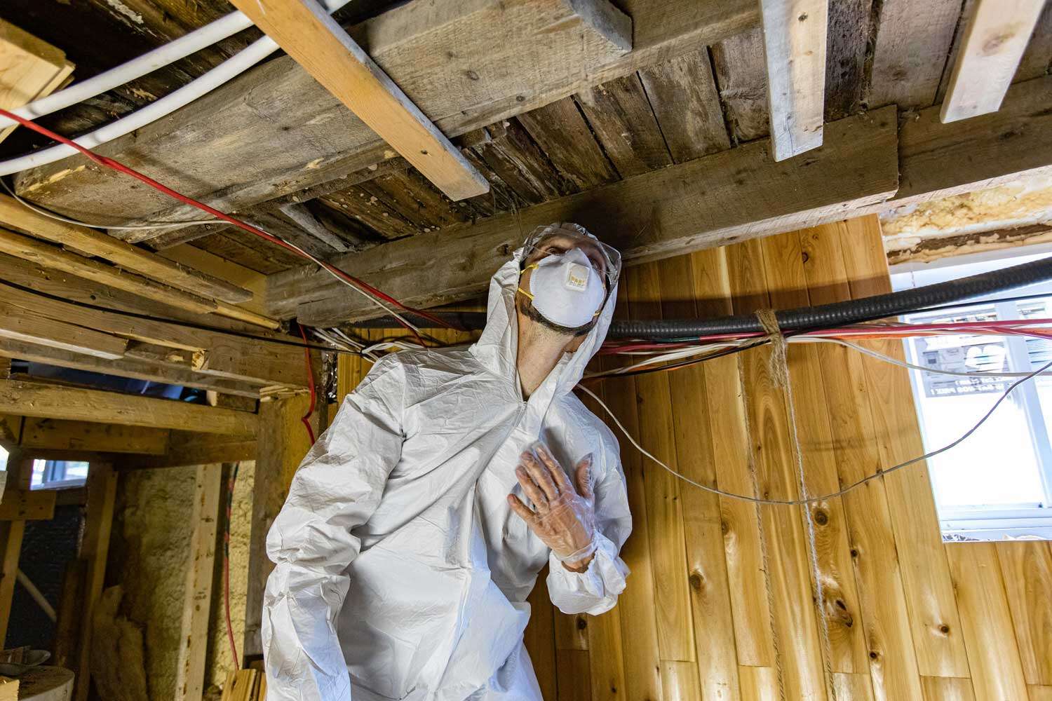 northwoods mold detection
